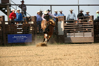 Bison Gala Days Bronc Match 2023